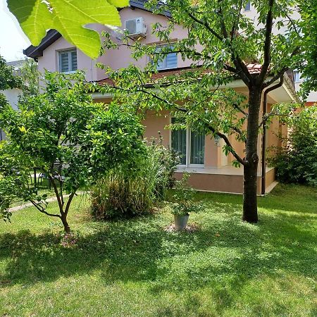 Villa Tamara With Garden And River View - Free Private Parking - Garage Mostar Kültér fotó